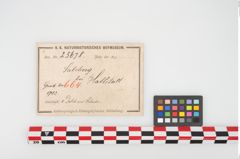 Foto von Bimetalldolchmesser (NHMW-PRAE-025678)